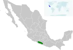 Distribución de L. brachylophus en México.