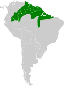 Distribución geográfica del cimerillo de casquete.