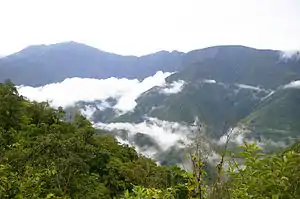 Selva húmedaLos Yungas, La Paz