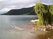 El lago y la mañana