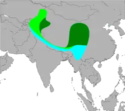      Área de reproducción de L. p. tschebaiewi     Área de reproducción de otras poblaciones     Área de invernada