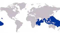 Distribución de Lutjanus kasmira