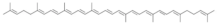 Estructura molecular del licopeno