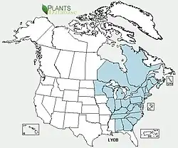 Rango nativo de L. obscurum. Se alega que hay especies introducidas en Alaska también.