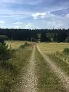 El camino por la meseta Dreiborner Hochfläche.