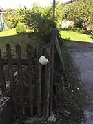 Una concha jacobea en la puerta de una casa junto al camino.