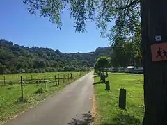 El camino entre Wintersdorf y Trierweiler.