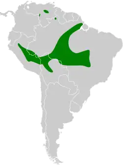 Distribución geográfica del saltarín encendido.