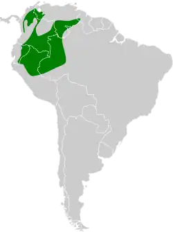 Distribución geográfica del saltarín rayado occidental.