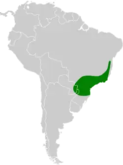 Distribución geográfica del batará copetón.