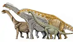 Saurópodos macronarianos; de izquierda a derecha, Camarasaurus, Brachiosaurus, Giraffatitan y Euhelopus.