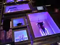 Vestimenta de Madonna exhibida en el Hard Rock Cafe de Toronto