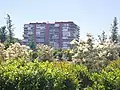 Madrid Río, vista de la ciudad sobre la vegetación.