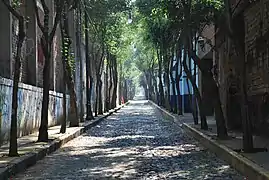 Calle Magisterio Nacional