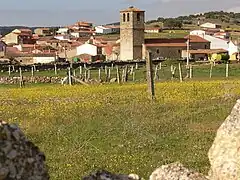 Vista desde el campo