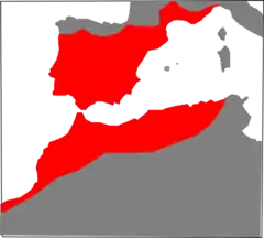 Distribución de M. monspessulanus