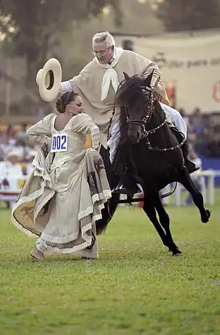 Un chalán en caballo de paso bailando marinera.