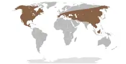 Rango geográfico inferido de Mammut (el rango euroasiático incluye al de Zygolophodon borsoni, cuyo asignación genérica es incierta, y de M. matthewi).