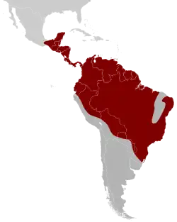 Distribución geográfica de los pípridos.