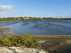 Laguna y Manglares de las Dunas de Baní