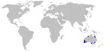 Distribución de Boryaceae