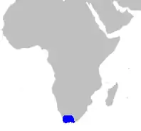 Distribución de Lanariaceae