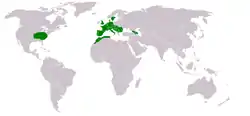 Distribución mundial de Ornithogalum umbellatum