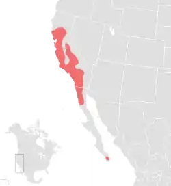 Distribución de S. ornatus