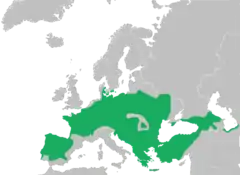 Distribución según lo definido por la UICN en 2009. Algunas poblaciones (Península Ibérica, partes de Europa del Este, Turquía y las regiones del Mar Negro y Mar Caspio) ahora se reconocen como especies separadas