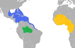 Distribución de las especies de Trichechus