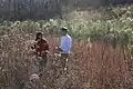 Recolección de semillas en Carolina del Norte.