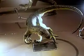 Recreación paleoartística de Marasuchus