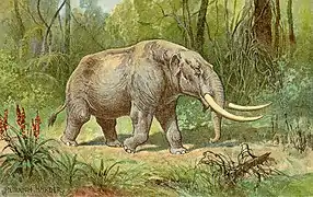 Mammutidae