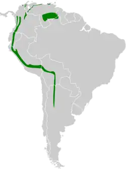 Distribución geográfica del piojito gargantilla.