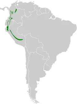 Distribución geográfica del piojto coliblanco.