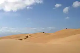 Dunas en el Parque nacional Los Médanos de Coro.