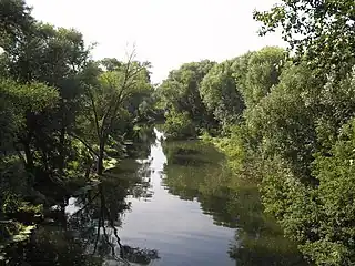 El río Medvéditsa a su paso por Atkarsk