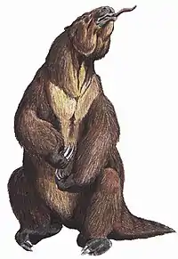 Megatherium, del Pleistoceno suramericano, era del tamaño de un elefante y fue el mayor perezoso terrestre.