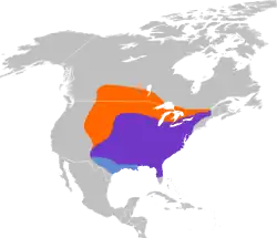 Distribución del carpintero de cabeza roja (púrpura: residente todo el año; naranja: zona de cría; azul claro: no reproductivo).