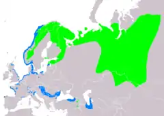 Distribución de Melanitta fusca