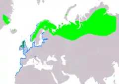 Distribución de Melanitta nigra