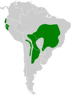 Distribución geográfica de los melanopáridos.