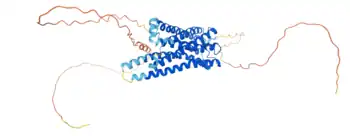 Estructura proteica de la melanopsina.