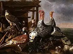 Pavos, de Melchior de Hondecoeter