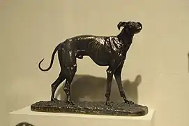 Galgo español