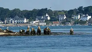 Cromlech de la isla de Er Lannic en círculo. Una parte se sitúa bajo el nivel del mar, testimonio de un ascenso de las aguas.