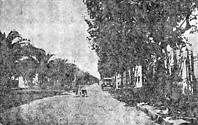 Avenida Ituzaingó, 1919. Se pueden distinguir las palmeras en el boulevard.