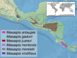 Distribución de otras especies del género Mesaspis, sinónimo de Abronia.