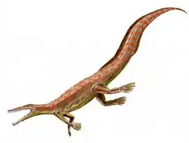 Mesosaurus (Sauropsida)