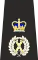 Metropolitan Police Assistant Commissioner of the Metropolis Epaulette